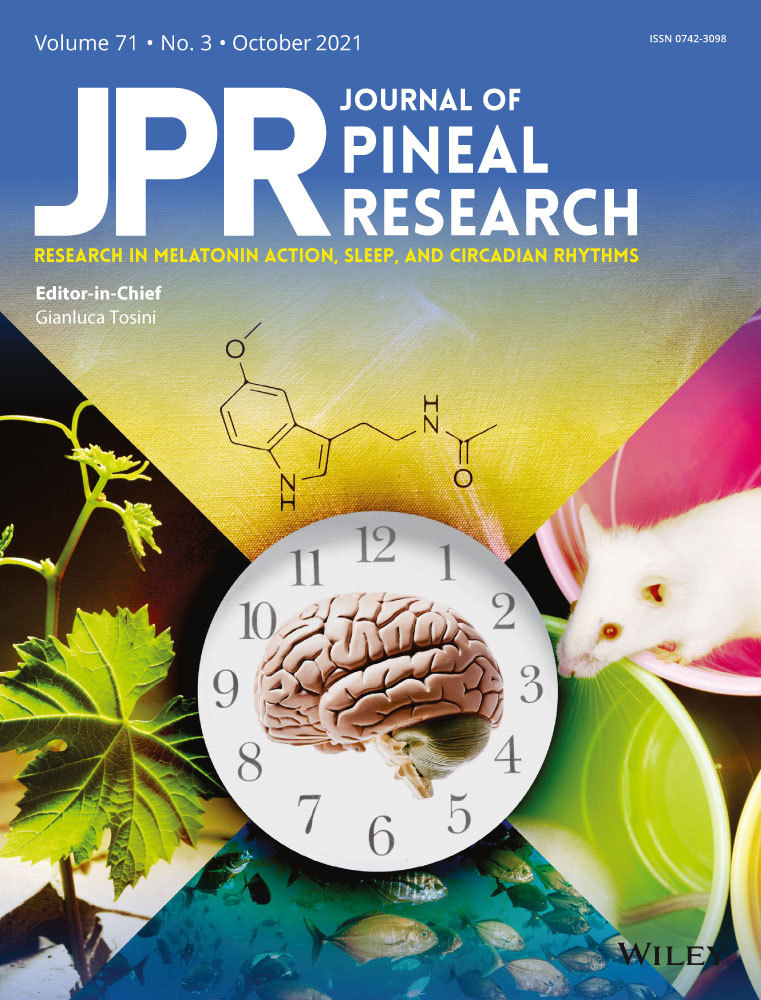 Therapeutic potential of melatonin and melatonergic drugs on K18‐hACE2 mice infected with SARS‐CoV‐2