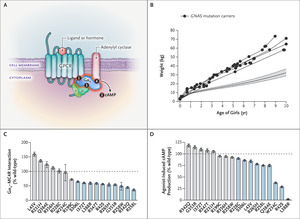 Obesity-Associated GNAS Mutations and the Melanocortin Pathway