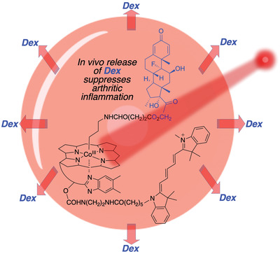 Light‐Triggered Drug Release from Red Blood Cells Suppresses Arthritic Inflammation