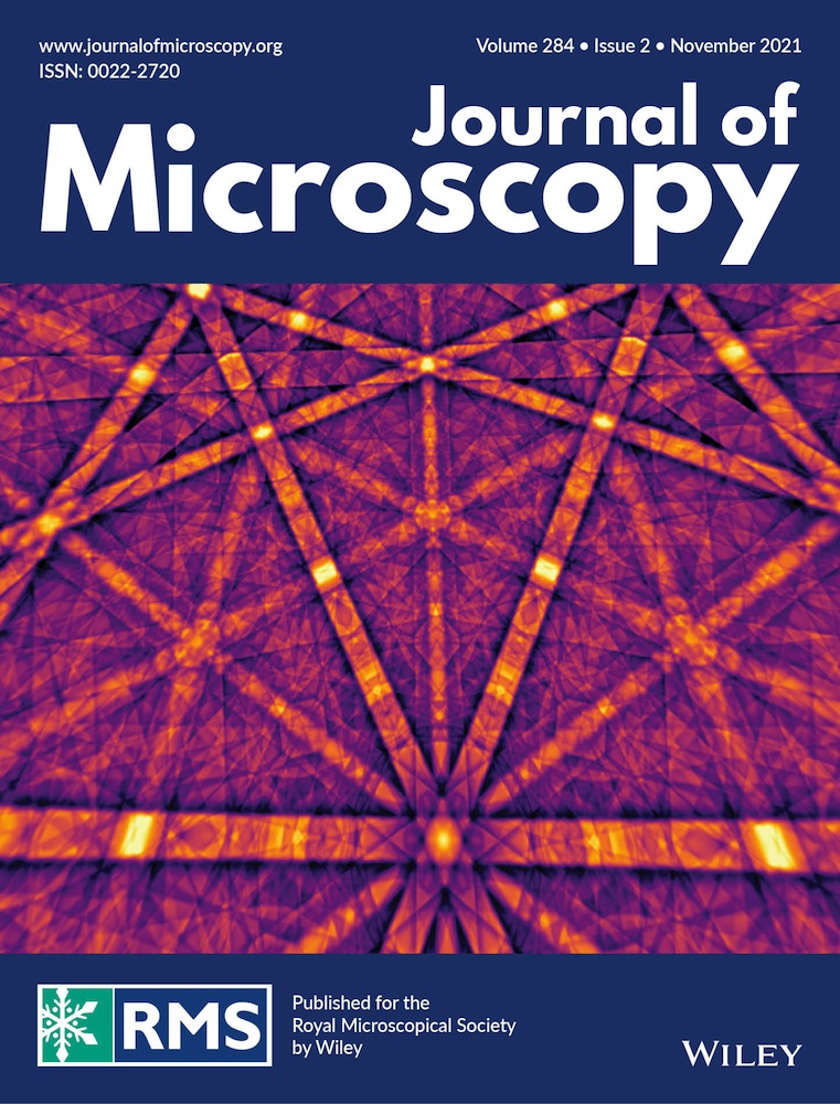 First visualization of bacterial biofilms in 3D porous media with neutron microtomography without contrast agent