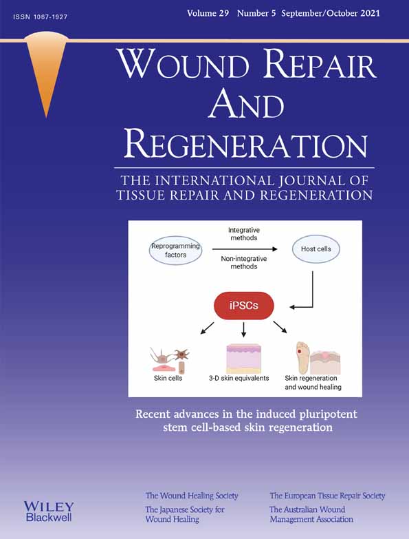 The Pig as a Model System for Investigating the Recruitment and Contribution of Myofibroblasts in Skin Healing