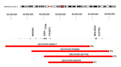 Mono‐allelic loss of YTHDF3 and neurodevelopmental disorder: clinical features of four individuals with 8q12.3 deletions
