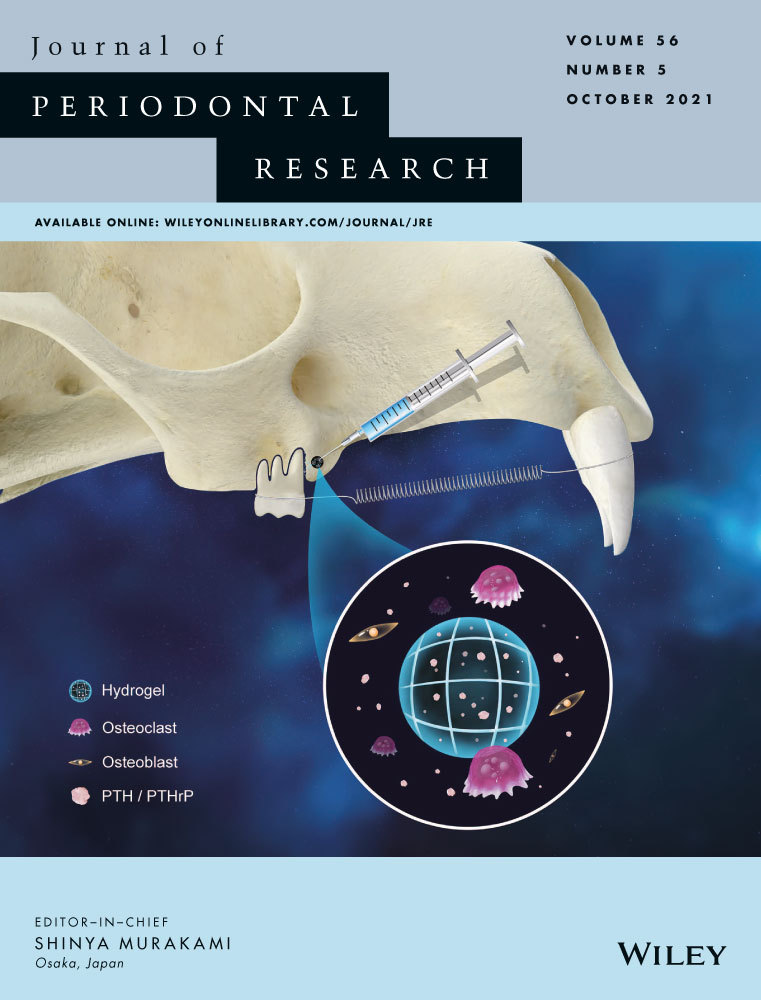 Surfactin reduces particulate matter–induced VCAM‐1–dependent monocyte adhesion in human gingival fibroblasts by increasing Nrf2‐dependent HO‐1 expression