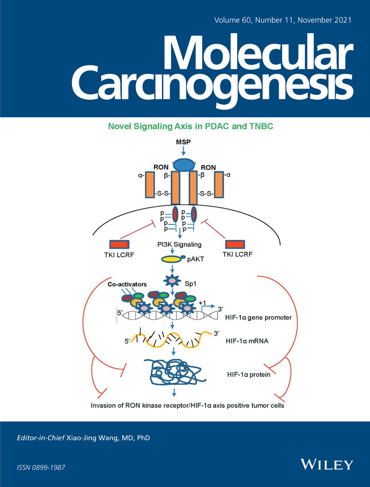 Triterpenoid ursolic acid drives metabolic rewiring and epigenetic reprogramming in treatment/prevention of human prostate cancer