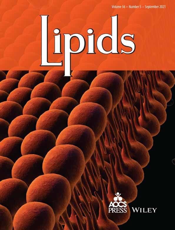 Astragalus polysaccharide regulates brown adipocytes differentiation by miR‐6911 targeting Prdm16