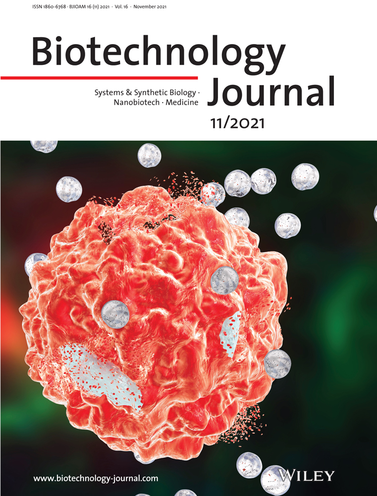 Epitope Screening Using Hydrogen/Deuterium Exchange Mass Spectrometry (HDX‐MS): An Accelerated Workflow for Evaluation of Lead Monoclonal Antibodies