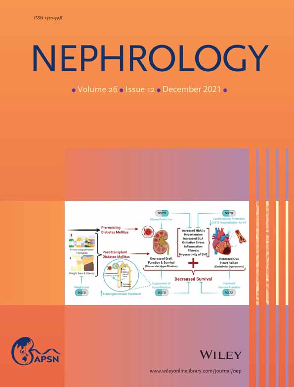 Will advances in functional renal magnetic resonance imaging translate to the nephrology clinic?