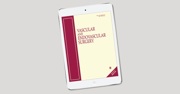 Safety and Efficacy of Hybrid Angiography in Chronic Lower Extremity Ischemia Patients at Risk of Contrast-Induced Acute Kidney Injury