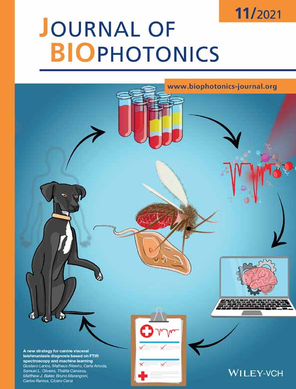Effects of Photobiomodulation Therapy on Regulation of Myogenic Regulatory Factor mRNA Expression In Vivo: A Systematic Review