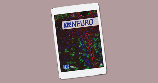 Effects of Manipulation of Noradrenergic Activities on the Expression of  Dopaminergic Phenotypes in Aged  Rat Brains