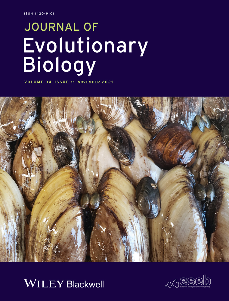 Negative body size‐dependent resource allocation underlies conspicuous sexual ornaments in a territorial damselfly