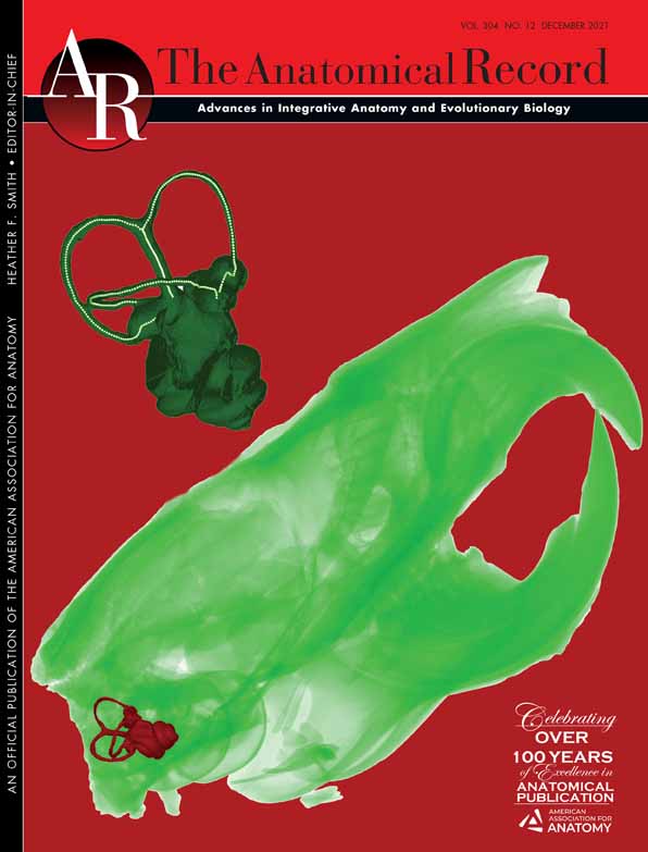 The importance of the nasopharynx and anterior skull base in excerebration techniques from KV40, a New Kingdom Egyptian site