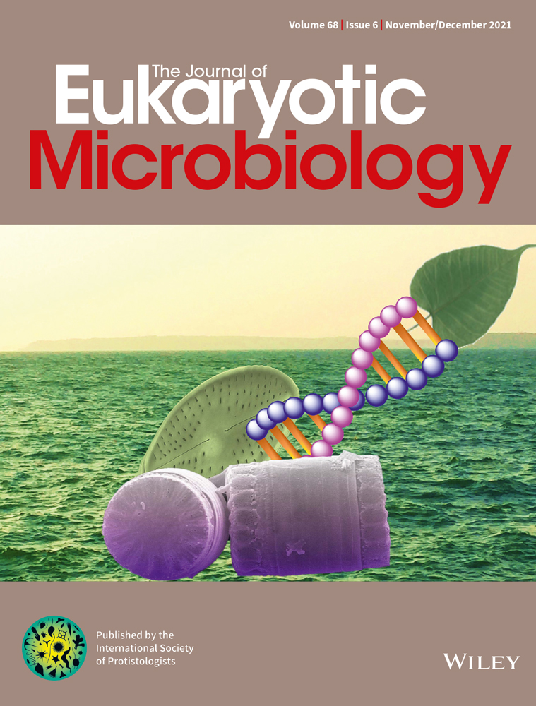 Molecular Characterization and Immune Protection by Cystathionine β‐synthase from Eimeria tenella
