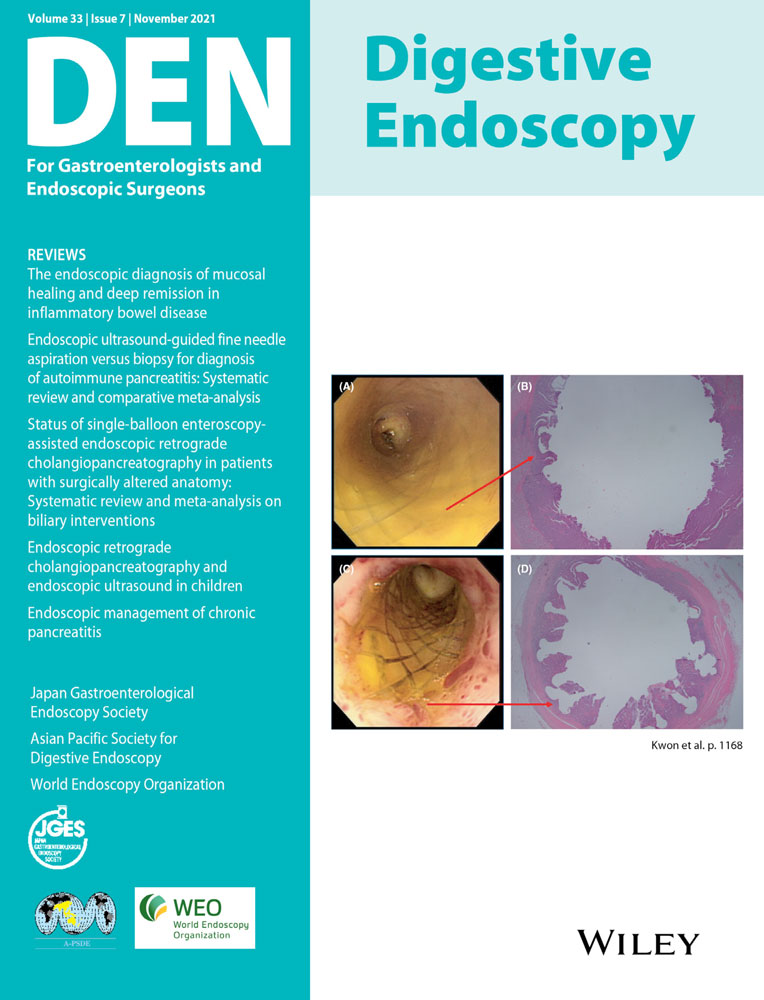 Ischemia–reperfusion injury suggestive of chronic mesenteric ischemia: Real‐time capture by colonoscopy