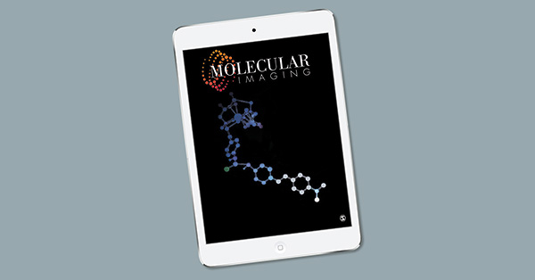 Molecular MR-Imaging for Noninvasive Quantification of the Anti-Inflammatory Effect of Targeting Interleukin-1β in a Mouse Model of Aortic Aneurysm