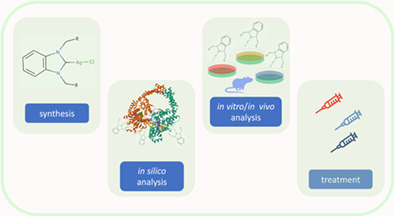 Silver(I)‐N‐heterocyclic carbene complexes challenge cancer; evaluation of their anticancer properties and in silico studies