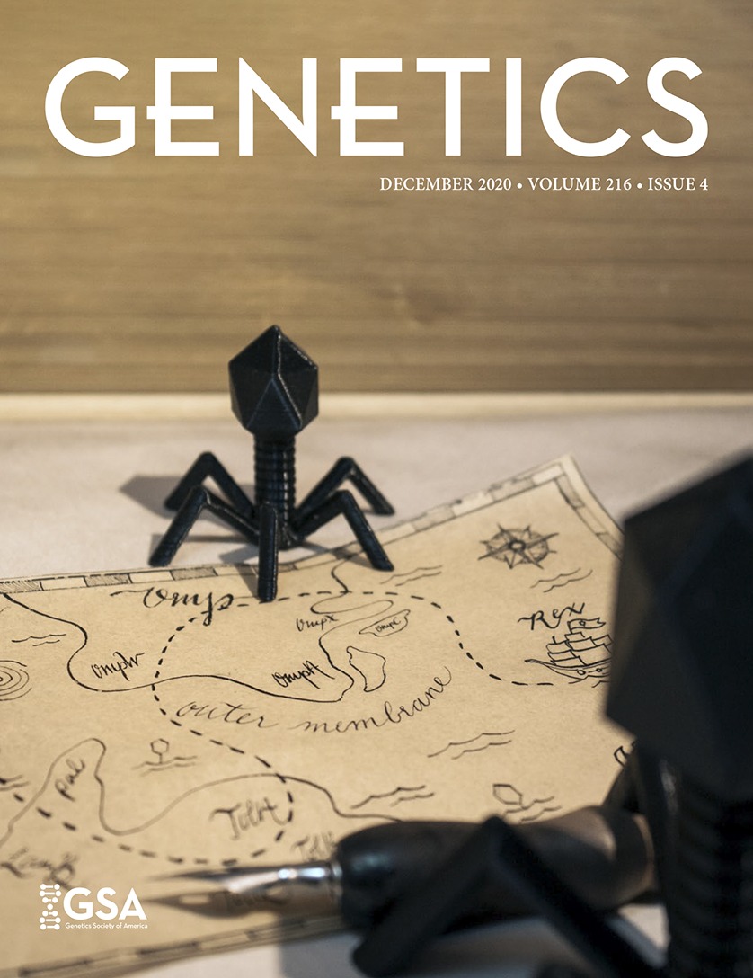How Good Are Predictions of the Effects of Selective Sweeps on Levels of Neutral Diversity? [Population and Evolutionary Genetics]