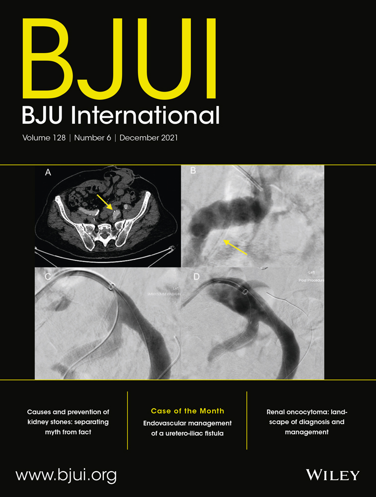 Risk stratification in men with a negative prostate biopsy: an interim analysis of a prospective cohort study