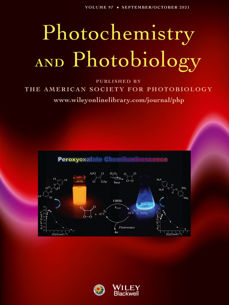 Photocleavage‐based Photoresponsive Drug Delivery
