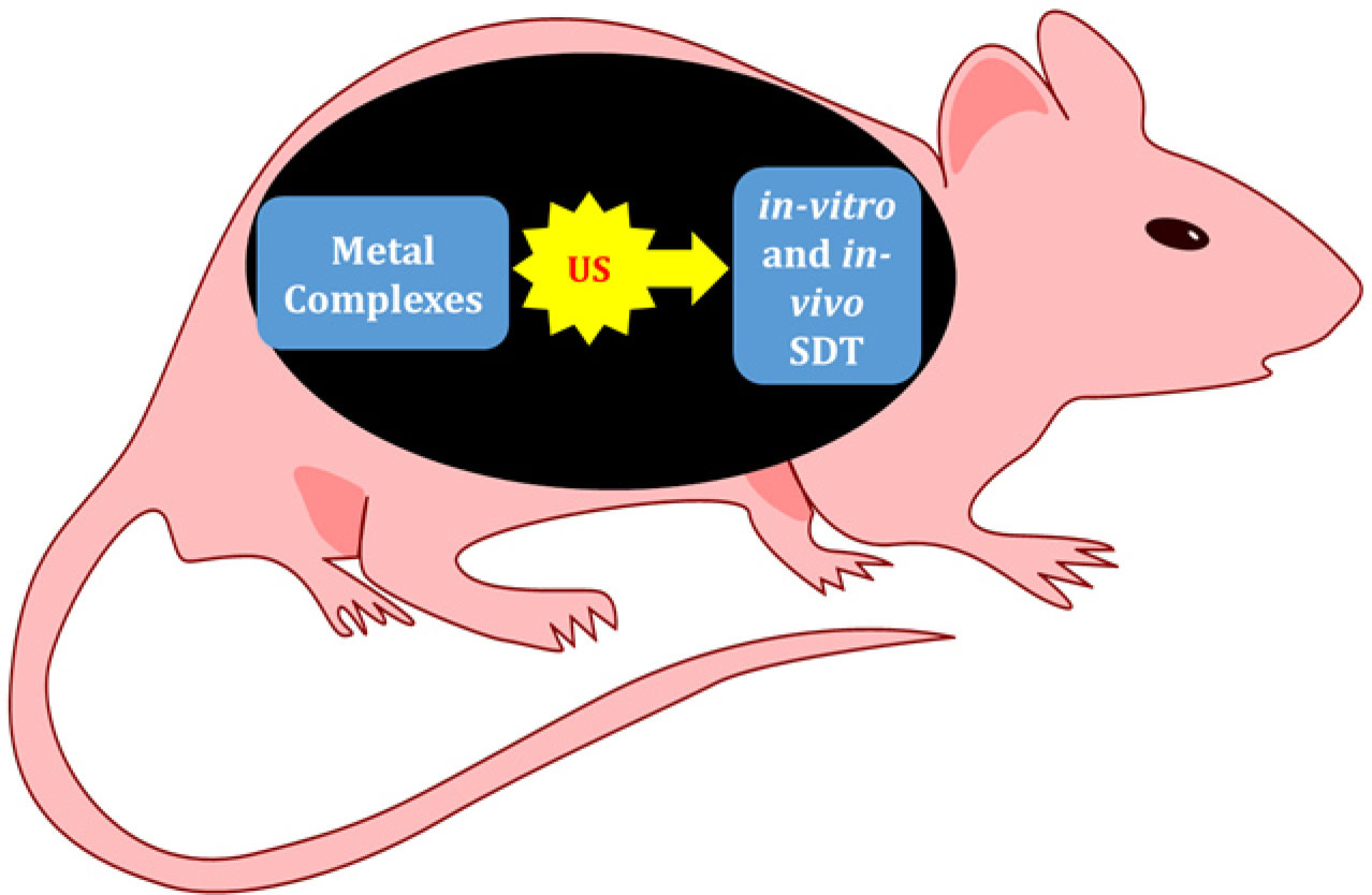 Sonodynamic Therapy with Metal Complexes: A New Promise in Cancer Therapy