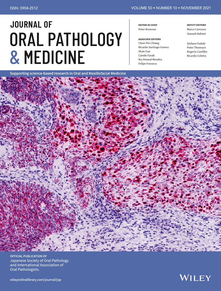 Assembling a consensus on actinic cheilitis: A Delphi study