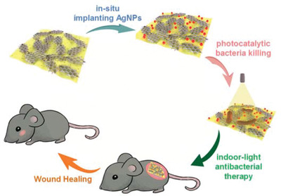 Plasmon‐Enhanced Photocatalytic Activity of Organic Heterostructure for Indoor‐Light Antibacterial Therapy