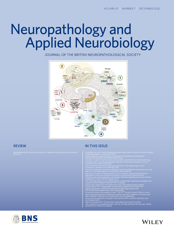 Long‐standing multiple system atrophy‐Parkinsonism with limbic and FTLD‐type α‐synuclein pathology
