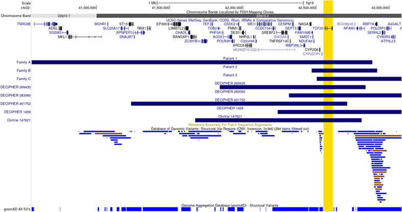 Rare and de novo duplications containing TCF20 are associated with a neurodevelopmental disorder