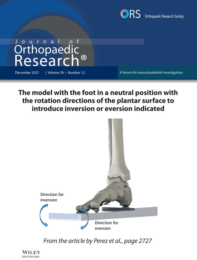 A definition and clinical grading of Modic changes
