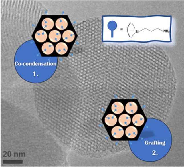 Mesoporous Silica Nanoparticles Functionalized with Amino Groups for Biomedical Applications
