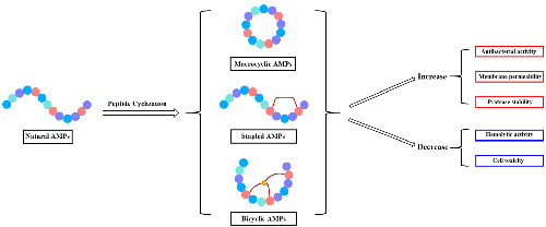 Current synthetic chemistry towards cyclic antimicrobial peptides
