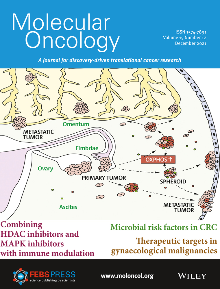 Copy number profiling of circulating free DNA predicts transarterial chemoembolization response in advanced hepatocellular carcinoma