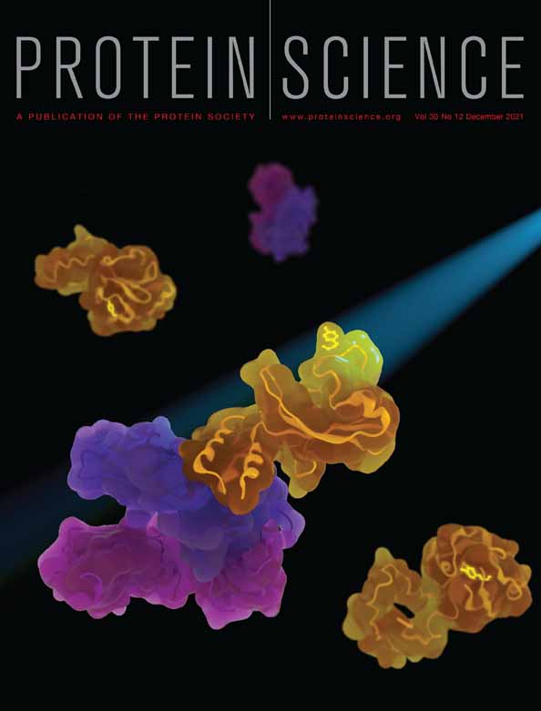 Double mutations far from the active site affect cold‐activity in an Antarctic halophilic β‐galactosidase