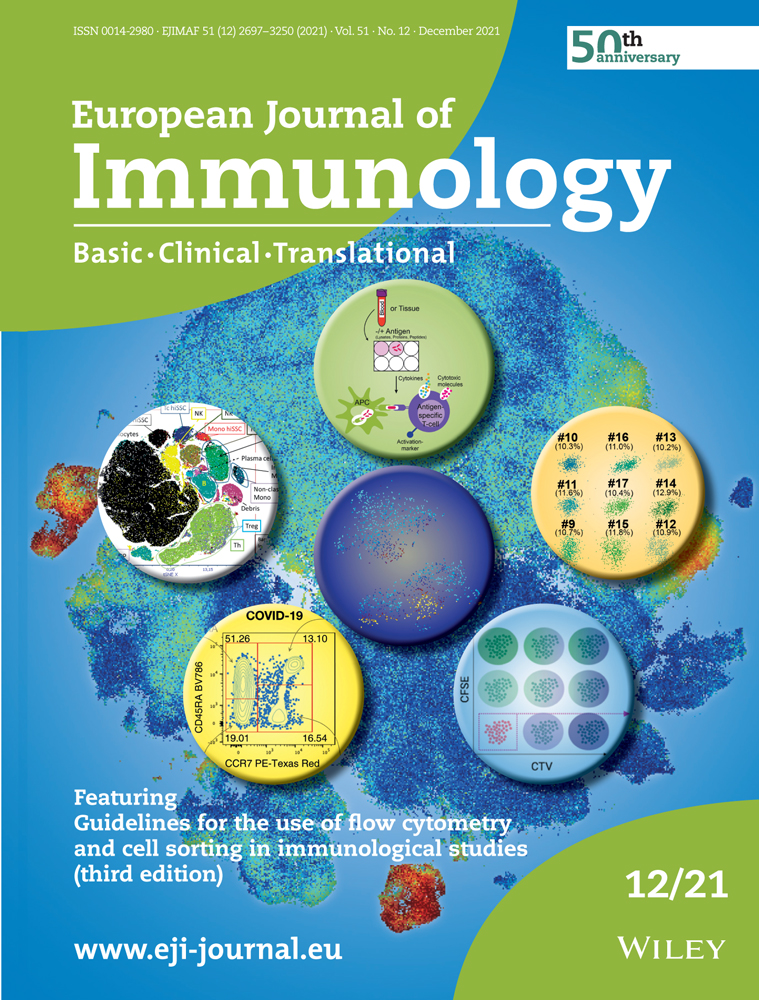 Poly I:C and STING agonist‐primed DC increase lymphoid tissue polyfunctional HIV‐1‐specific CD8+ T cells and limit CD4+ T cell loss in BLT mice