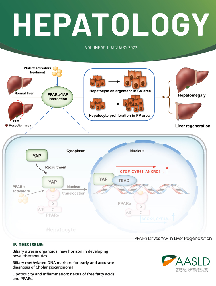Mucosal‐associated invariant T‐cell tumor infiltration predicts long‐term survival in cholangiocarcinoma