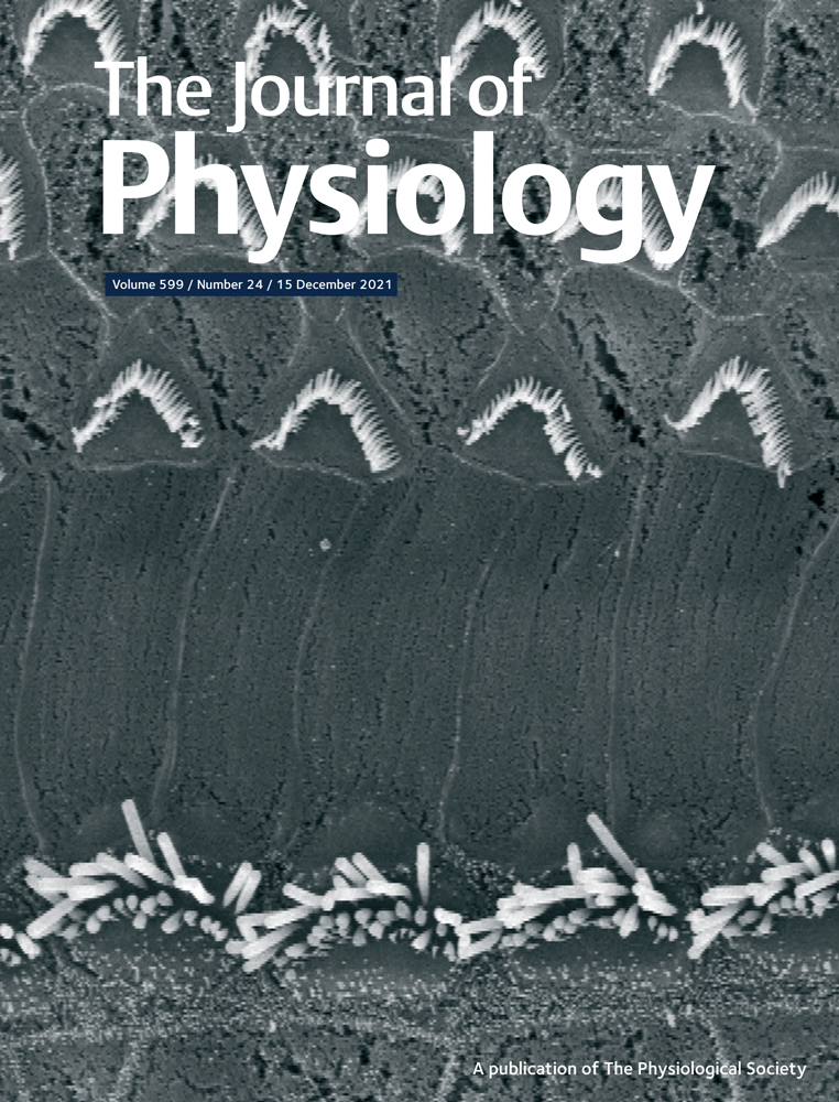 Physiological control of fetal heart rate variability during labour: Implications and controversies