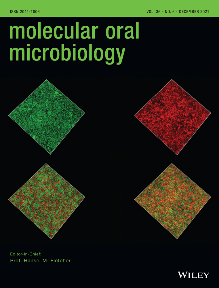 Porphyromonas gingivalis indirectly elicits intestinal inflammation by altering the gut microbiota and disrupting epithelial barrier function through IL9‐producing CD4+ T cells