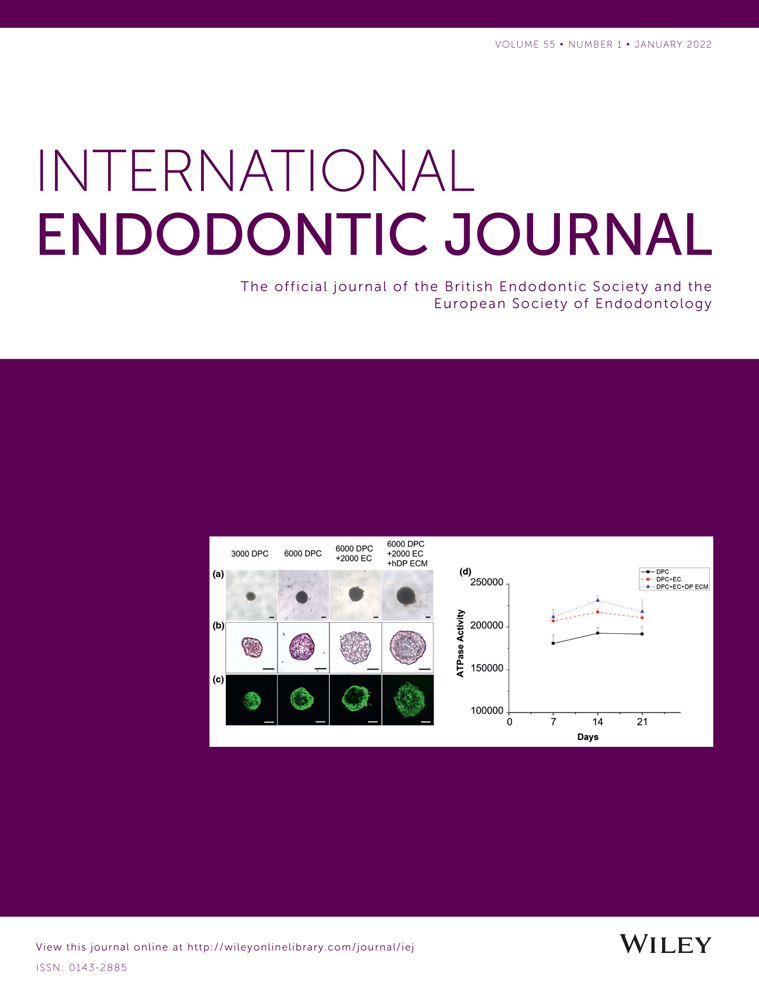 How do we and how should we deal with uncertainty in Endodontics?