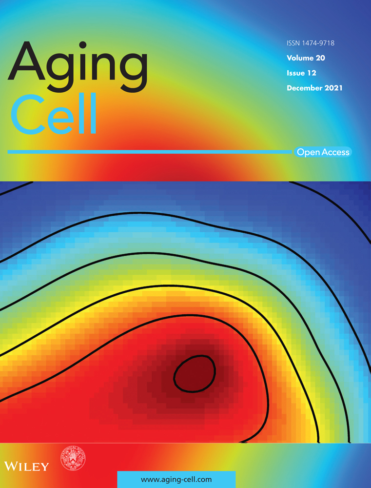 Corrigendum to: Reevaluation of the effect of dietary restriction on different recombinant inbred lines of male and female mice