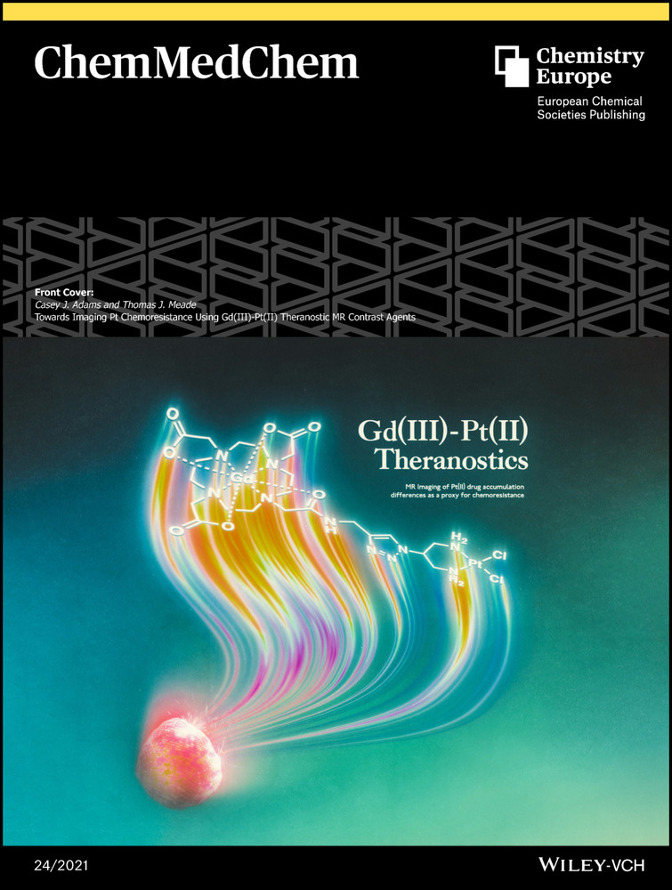 Novel insights and perspectives for the diagnosis and treatment of hearing loss through the implementation of magnetic nanotheranostics