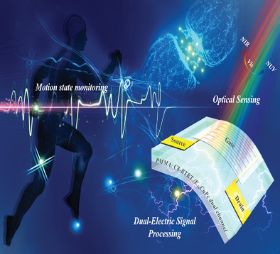 An Artificial Nerve Capable of UV‐Perception, NIR–Vis Switchable Plasticity Modulation, and Motion State Monitoring