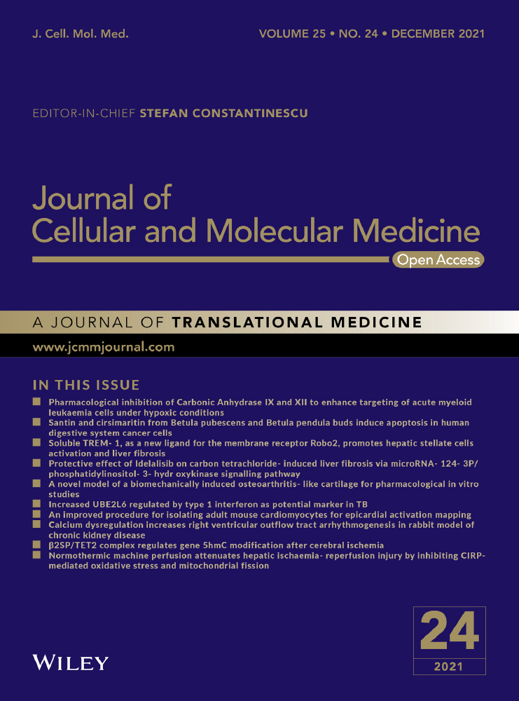 Berberine ameliorates aGVHD by gut microbiota remodelling, TLR4 signalling suppression and colonic barrier repairment for NLRP3 inflammasome inhibition