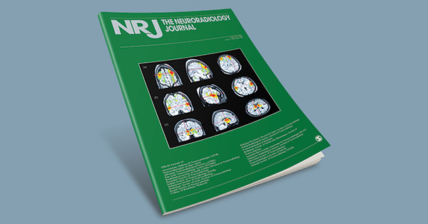 Insurance payment for artificial intelligence technology: Methods used by a stroke artificial intelligence system and strategies to qualify for the new technology add-on payment
