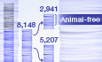 Do we still need animals? Surveying the role of animal‐free models in Alzheimer’s and Parkinson’s disease research