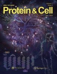 Postnatal state transition of cardiomyocyte as a primary step in heart maturation