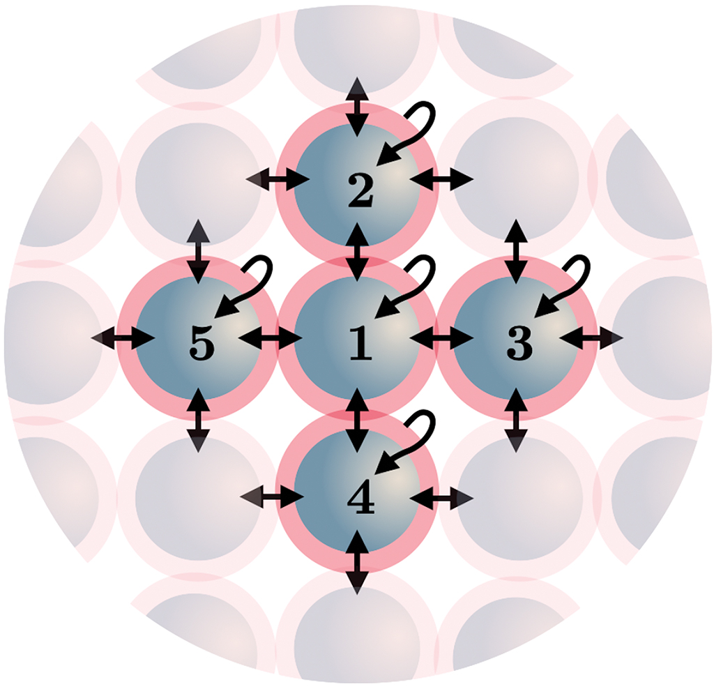 Time-keeping and decision-making in the cell cycle