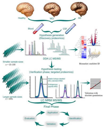 Proteomes, Vol. 10, Pages 26: Proteomic Discovery and Validation of Novel Fluid Biomarkers for Improved Patient Selection and Prediction of Clinical Outcomes in Alzheimer&rsquo;s Disease Patient Cohorts
