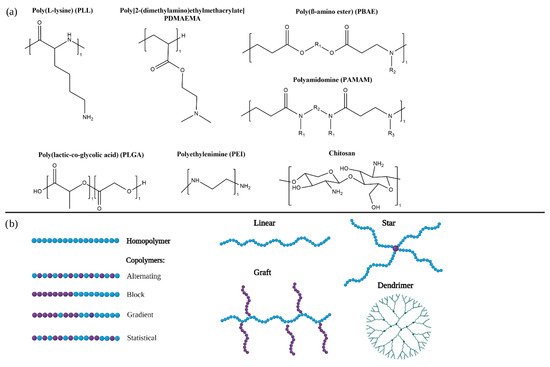 ncRNA, Vol. 8, Pages 58: Polymeric Carriers for Delivery of RNA Cancer Therapeutics