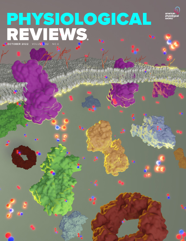 Cellular senescence and cardiovascular diseases: moving to the "heart" of the problem