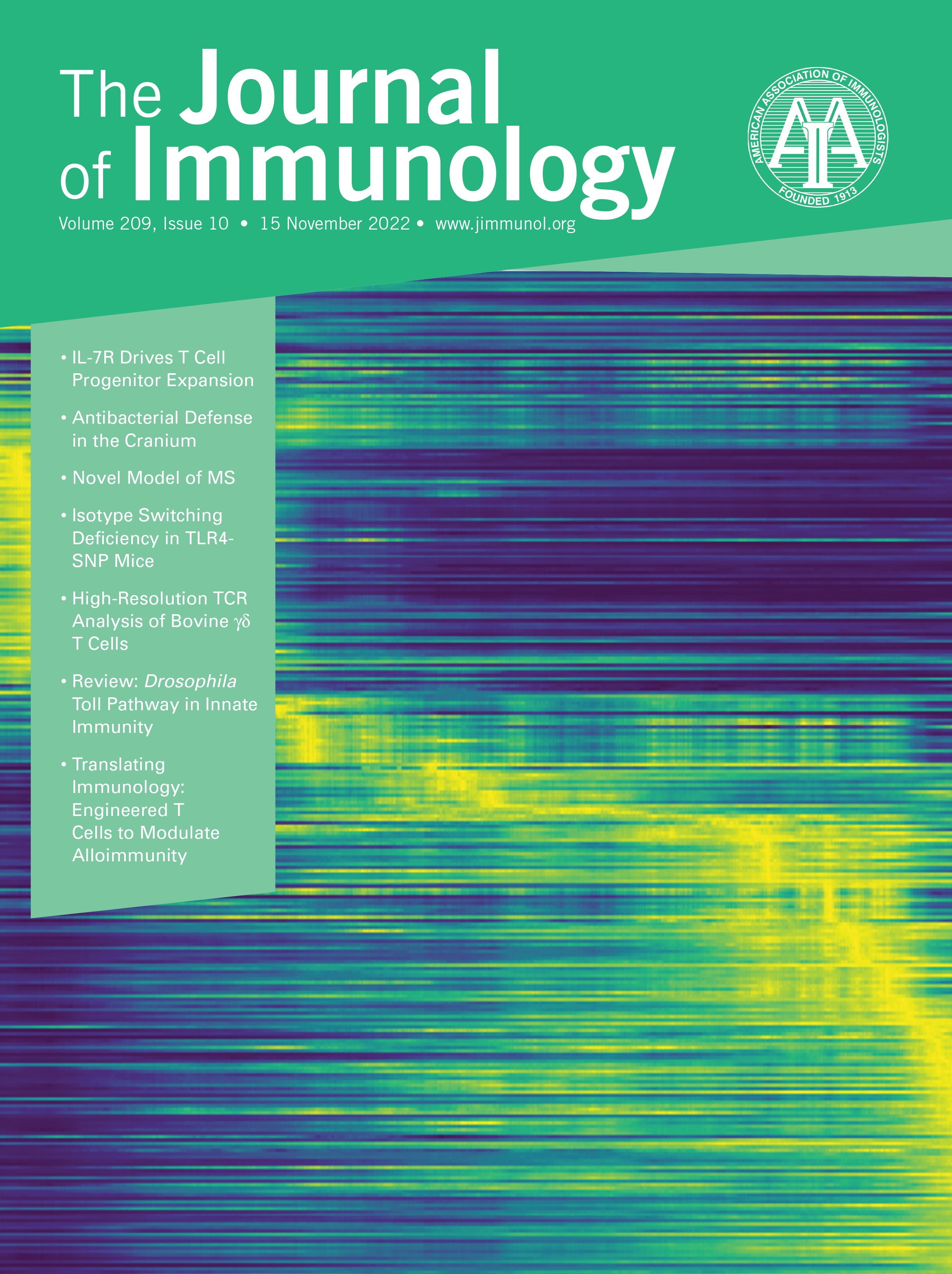 Therapeutic Opportunities for Immunoreceptor-Engineered T Cell Therapy for Modulation of Alloimmunity [TRANSLATING IMMUNOLOGY]
